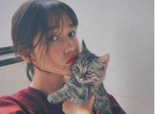 适合友谊的群名字有哪些？