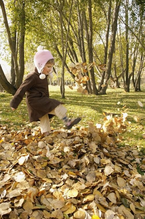 老师说今天随便我怎么玩