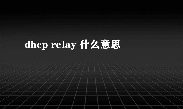 dhcp relay 什么意思