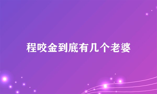 程咬金到底有几个老婆