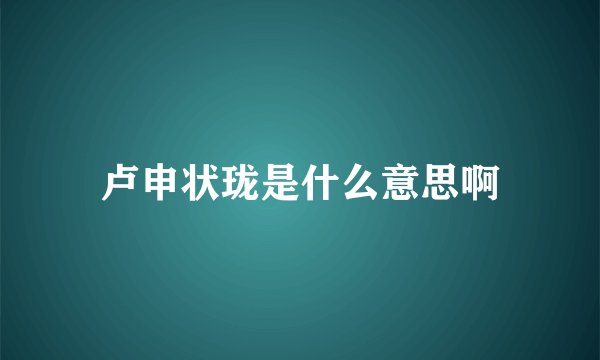 卢申状珑是什么意思啊