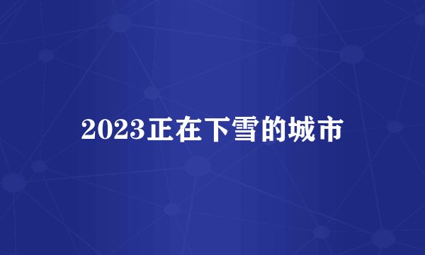 2023正在下雪的城市