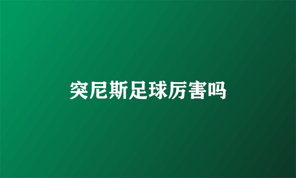 突尼斯足球厉害吗