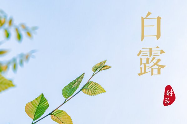 白露穿什么衣服图片