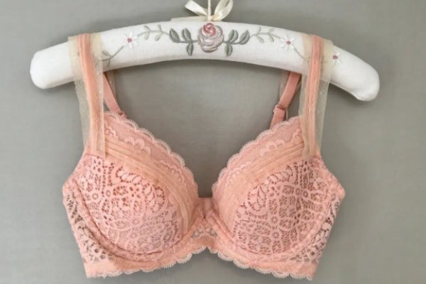 中国十大知名品牌内衣