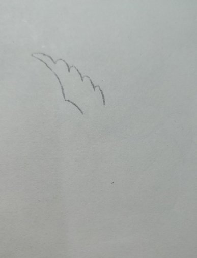 一只和平鸽的画法