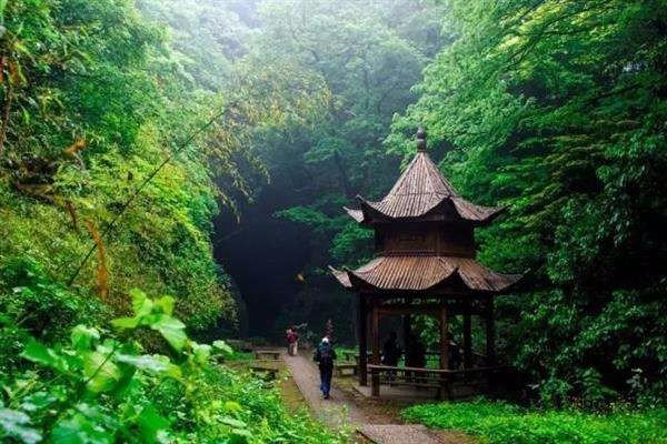 “芳树无人花自落，春山一路鸟空啼”是什么意思？