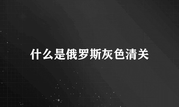 什么是俄罗斯灰色清关