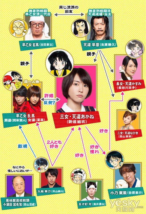 乱马1/2真人版的介绍