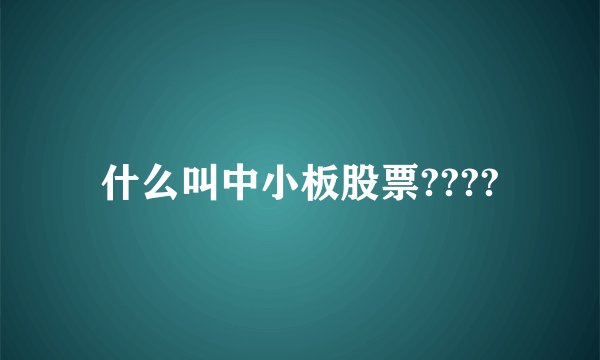 什么叫中小板股票????