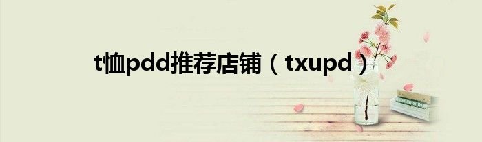 t恤pdd推荐店铺txupd