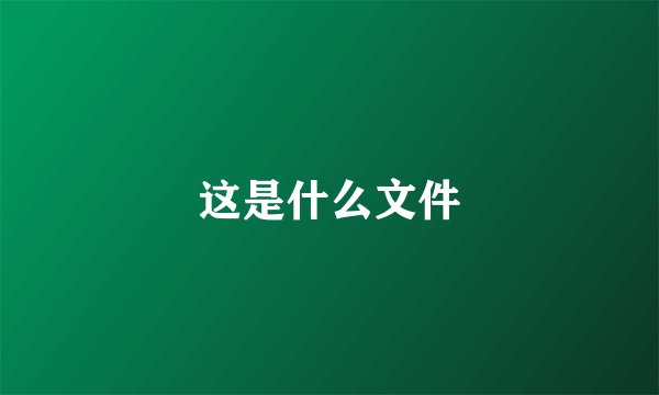 这是什么文件