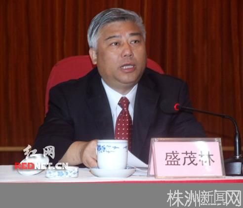 湖南领导人才网的网站内容