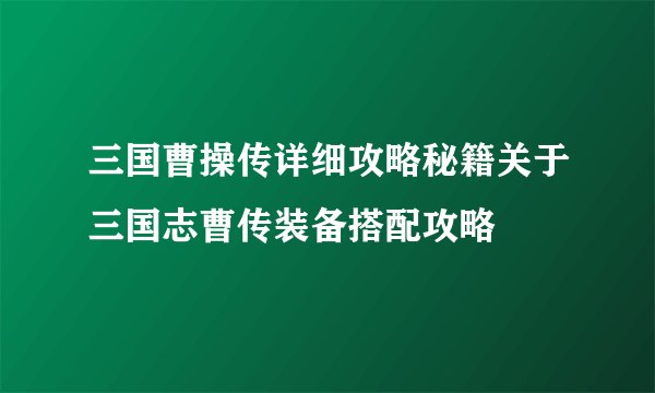 三国曹操传详细攻略秘籍关于三国志曹传装备搭配攻略
