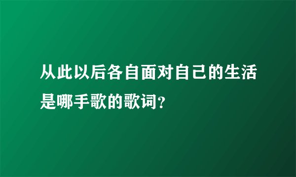 从此以后各自面对自己的生活是哪手歌的歌词？