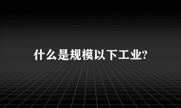 什么是规模以下工业?