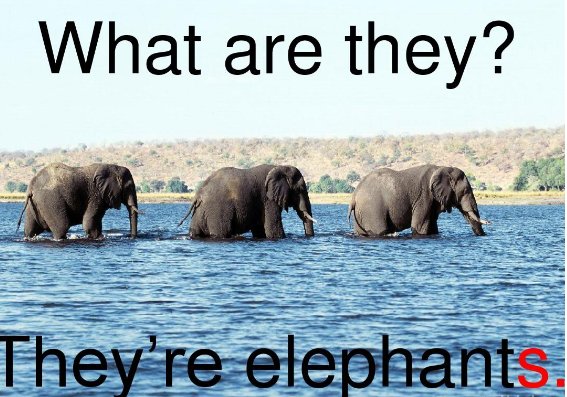 他们用英语怎么说呢