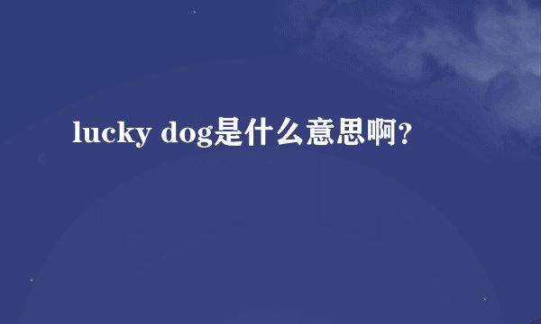 lucky dog是什么意思啊？