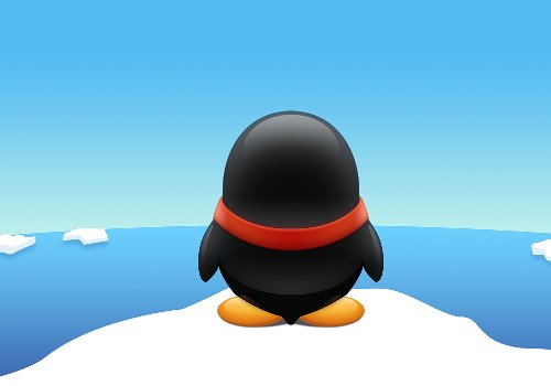 如何知道机主姓名