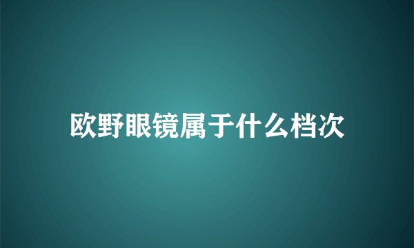 欧野眼镜属于什么档次