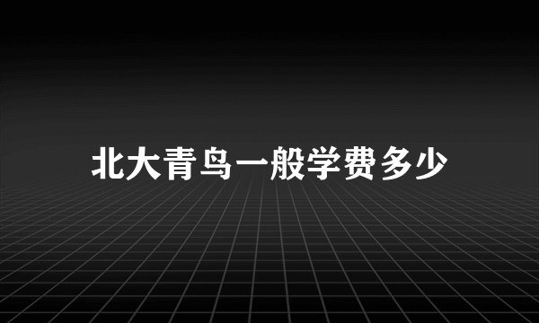 北大青鸟一般学费多少