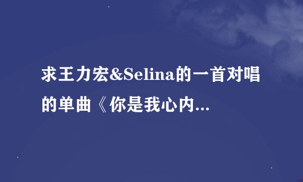 求王力宏&Selina的一首对唱的单曲《你是我心内的一首歌》的伴奏