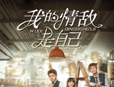 我们不是情敌吗小说