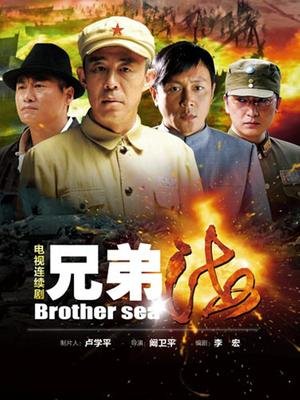 兄弟海的剧集评价