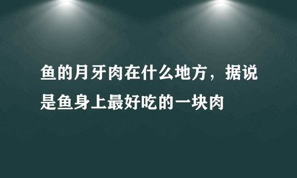 鱼的月牙肉在什么地方，据说是鱼身上最好吃的一块肉