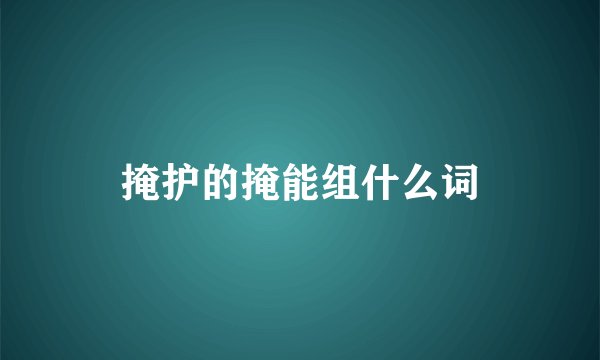 掩护的掩能组什么词
