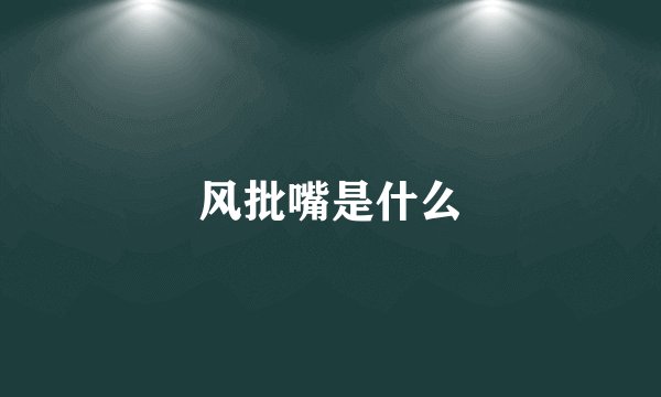 风批嘴是什么