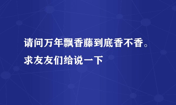 请问万年飘香藤到底香不香。求友友们给说一下