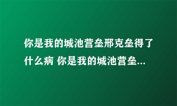 你是我的城池营垒邢克垒得了什么病 你是我的城池营垒邢克垒的简介