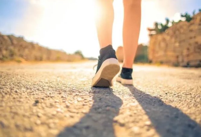 走字旁的字大多和什么有关