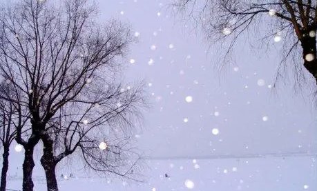形容飞雪的比喻有哪些?