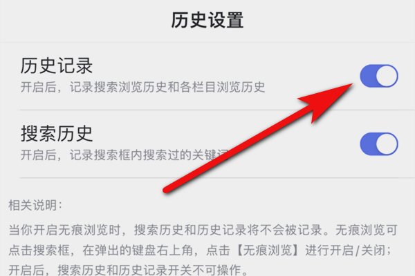 如何打开历史记录
