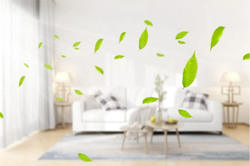 fresh air是什么意思