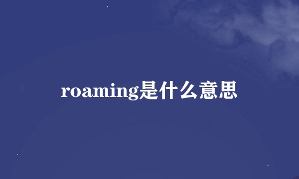 roaming是什么意思