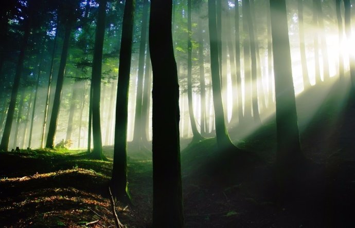 古诗《鹿寨》全诗什么意思？