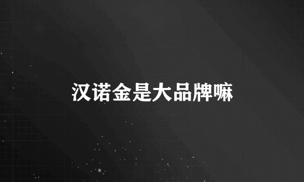 汉诺金是大品牌嘛