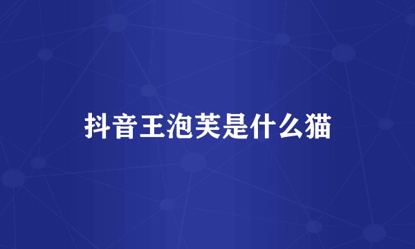 抖音王泡芙是什么猫