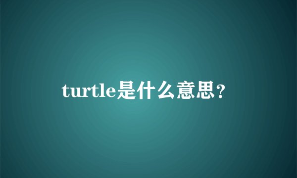 turtle是什么意思？