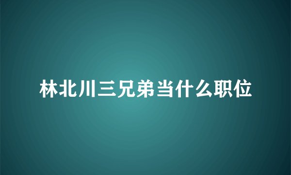林北川三兄弟当什么职位