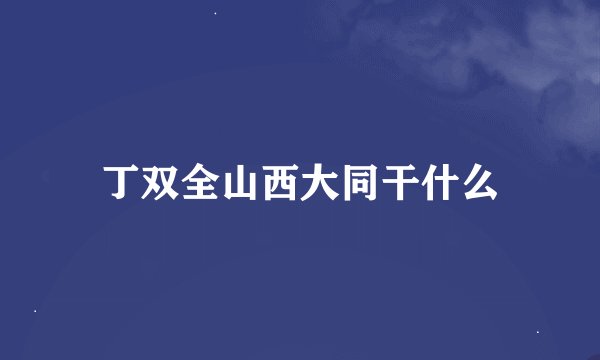 丁双全山西大同干什么