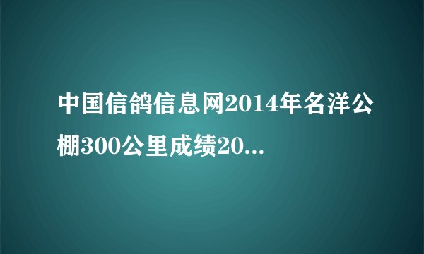 中国信鸽信息网2014年名洋公棚300公里成绩2014-33-006275