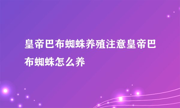 皇帝巴布蜘蛛养殖注意皇帝巴布蜘蛛怎么养
