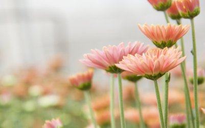 两个人名字相差的笔画数代表的意思？