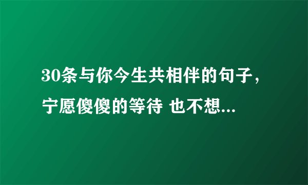30条与你今生共相伴的句子，宁愿傻傻的等待 也不想轻易放弃