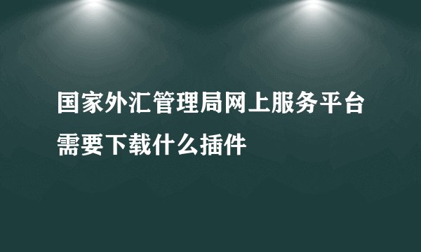 国家外汇管理局网上服务平台需要下载什么插件
