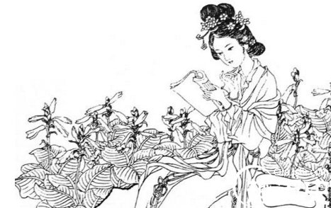 君王城上竖降旗，妾在深宫那得知出自哪里